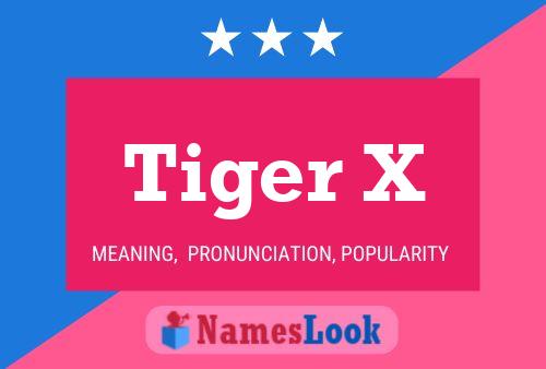 Tiger X 名字海报