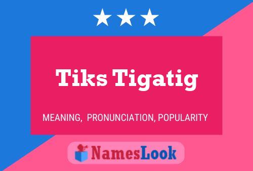 Tiks Tigatig 名字海报