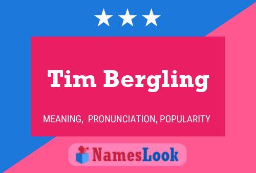 Tim Bergling 名字海报