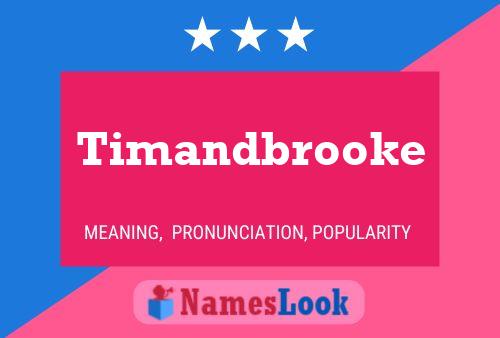 Timandbrooke 名字海报