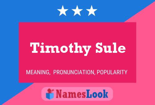 Timothy Sule 名字海报