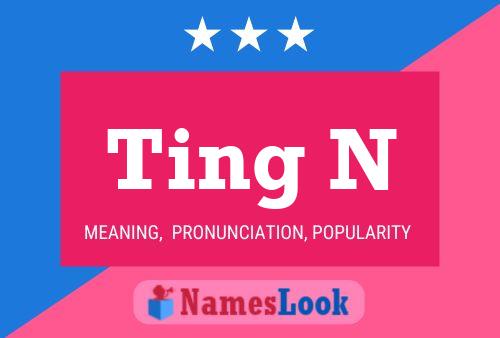 Ting N 名字海报