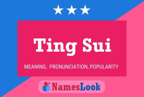 Ting Sui 名字海报