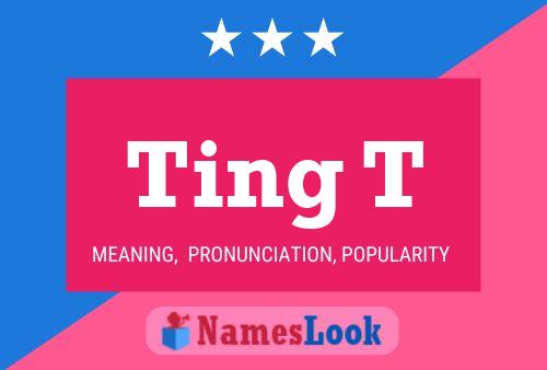 Ting T 名字海报