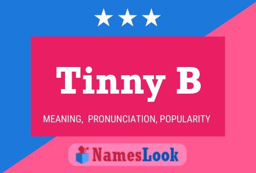 Tinny B 名字海报