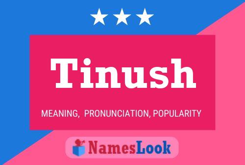 Tinush 名字海报