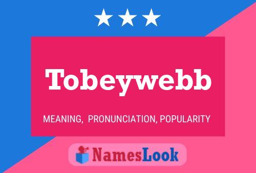 Tobeywebb 名字海报