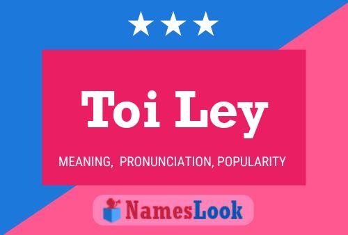 Toi Ley 名字海报