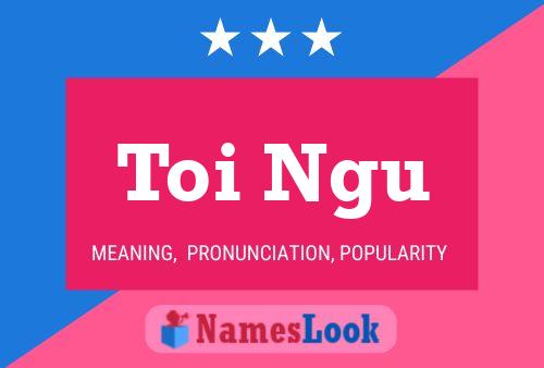 Toi Ngu 名字海报