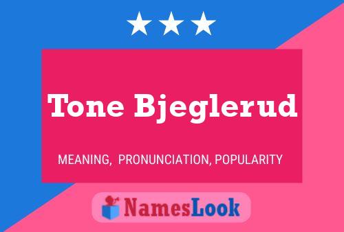 Tone Bjeglerud 名字海报