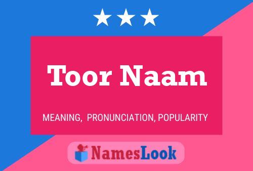 Toor Naam 名字海报