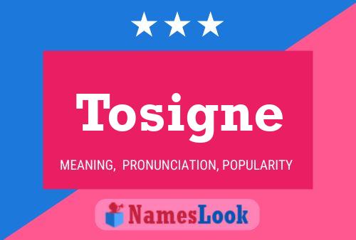 Tosigne 名字海报