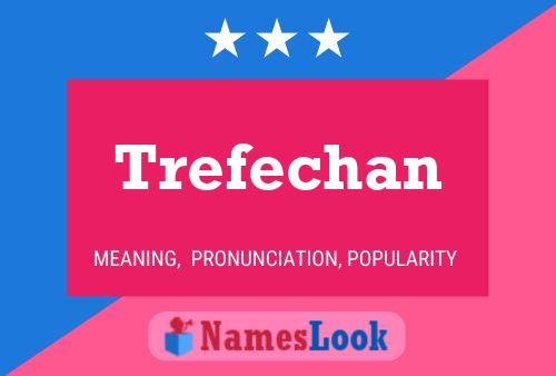 Trefechan 名字海报