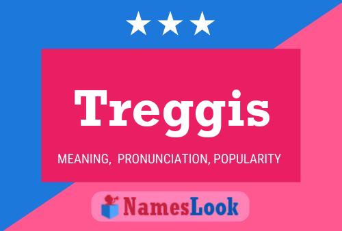 Treggis 名字海报