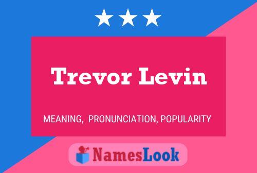 Trevor Levin 名字海报