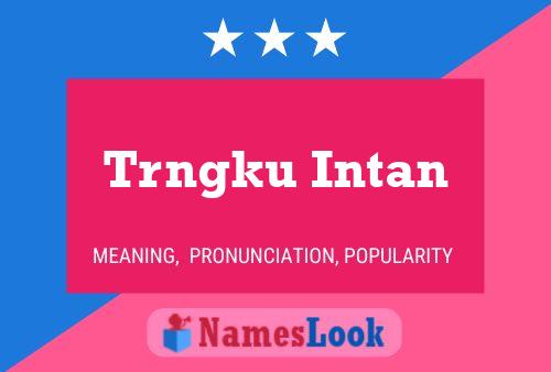 Trngku Intan 名字海报