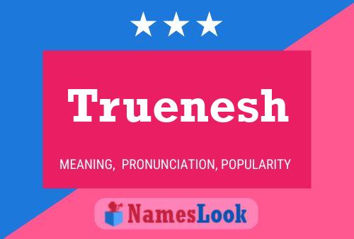 Truenesh 名字海报