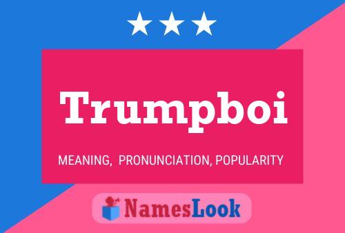 Trumpboi 名字海报