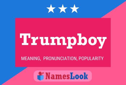 Trumpboy 名字海报