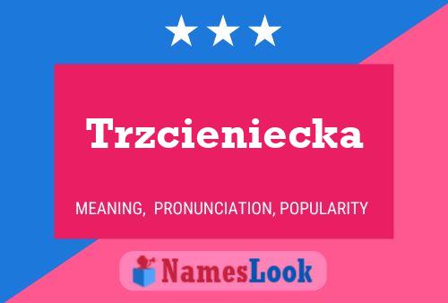 Trzcieniecka 名字海报