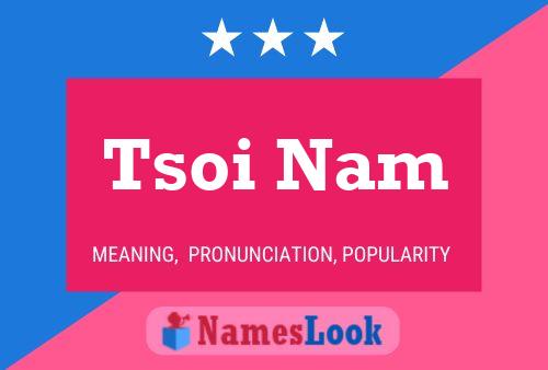 Tsoi Nam 名字海报