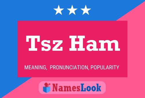 Tsz Ham 名字海报