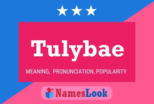 Tulybae 名字海报