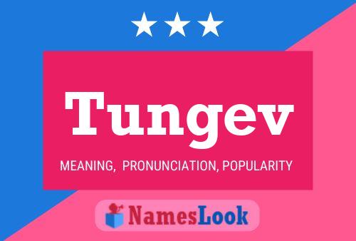 Tungev 名字海报