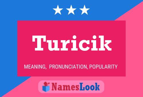 Turicik 名字海报