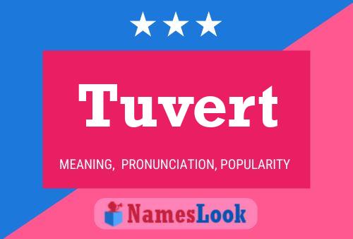 Tuvert 名字海报