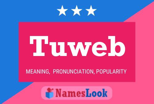 Tuweb 名字海报