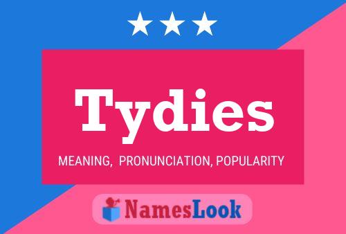 Tydies 名字海报