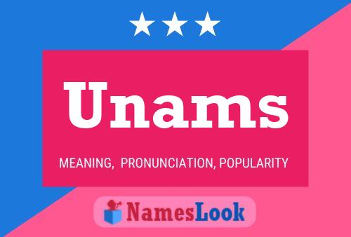 Unams 名字海报