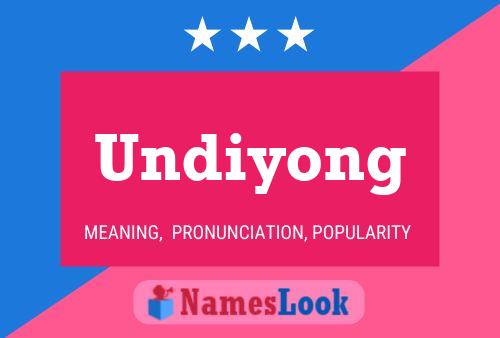 Undiyong 名字海报