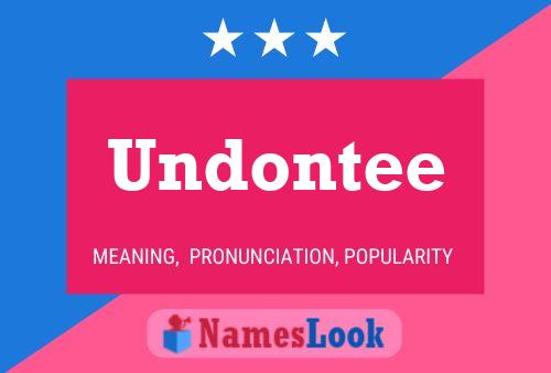 Undontee 名字海报