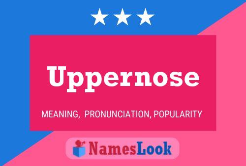 Uppernose 名字海报