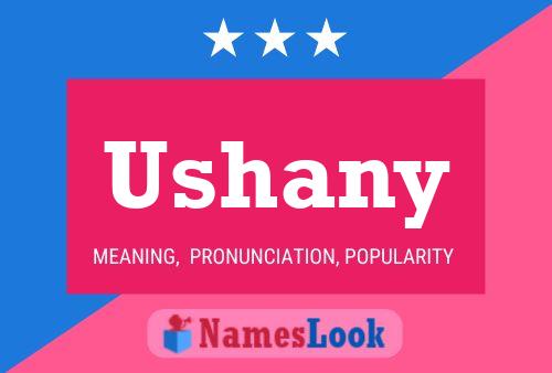 Ushany 名字海报