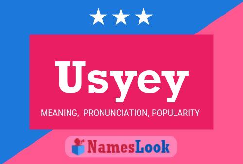 Usyey 名字海报