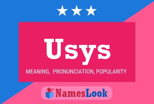 Usys 名字海报