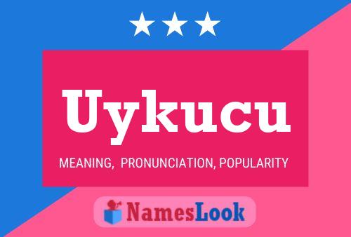 Uykucu 名字海报