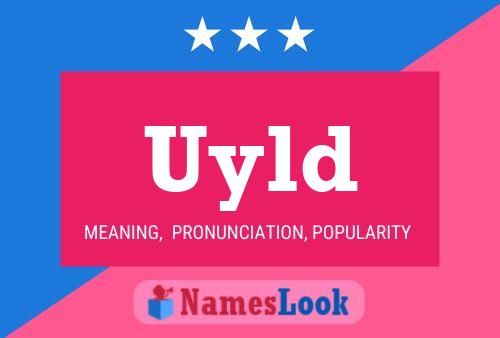 Uyld 名字海报