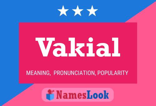 Vakial 名字海报