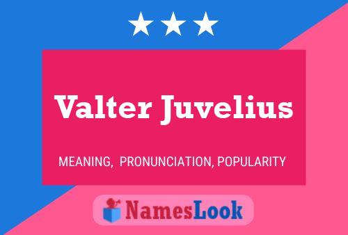 Valter Juvelius 名字海报