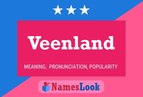 Veenland 名字海报