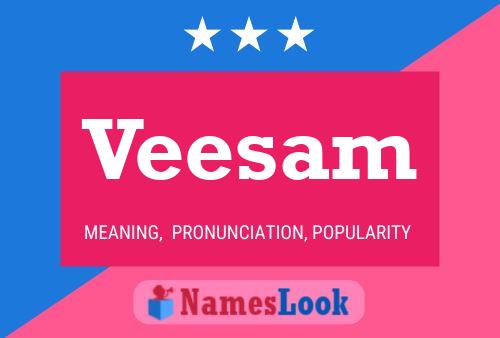 Veesam 名字海报