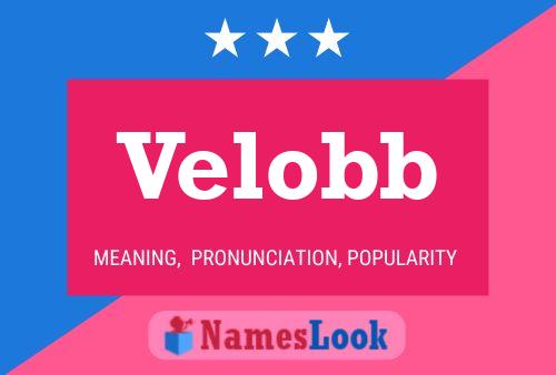 Velobb 名字海报