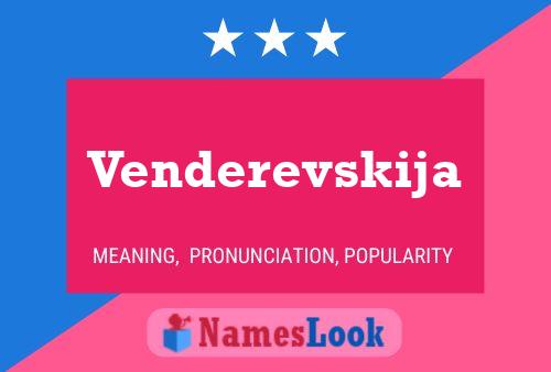 Venderevskija 名字海报