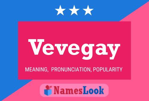 Vevegay 名字海报