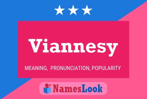 Viannesy 名字海报