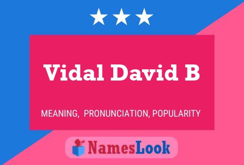 Vidal David B 名字海报